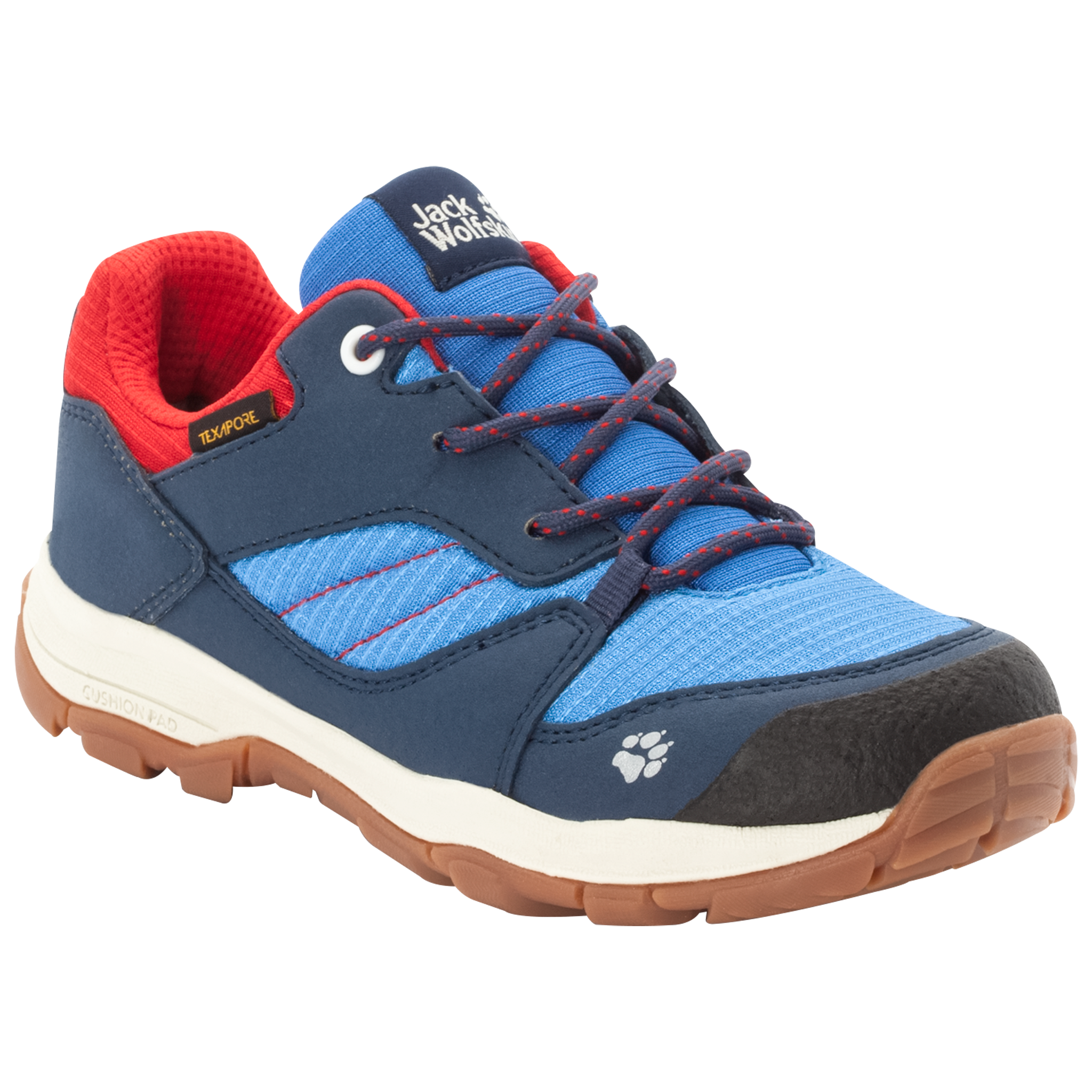 Blue / Red Boys' Hiking Shoes
