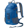 Electric Blue Bike Backpack