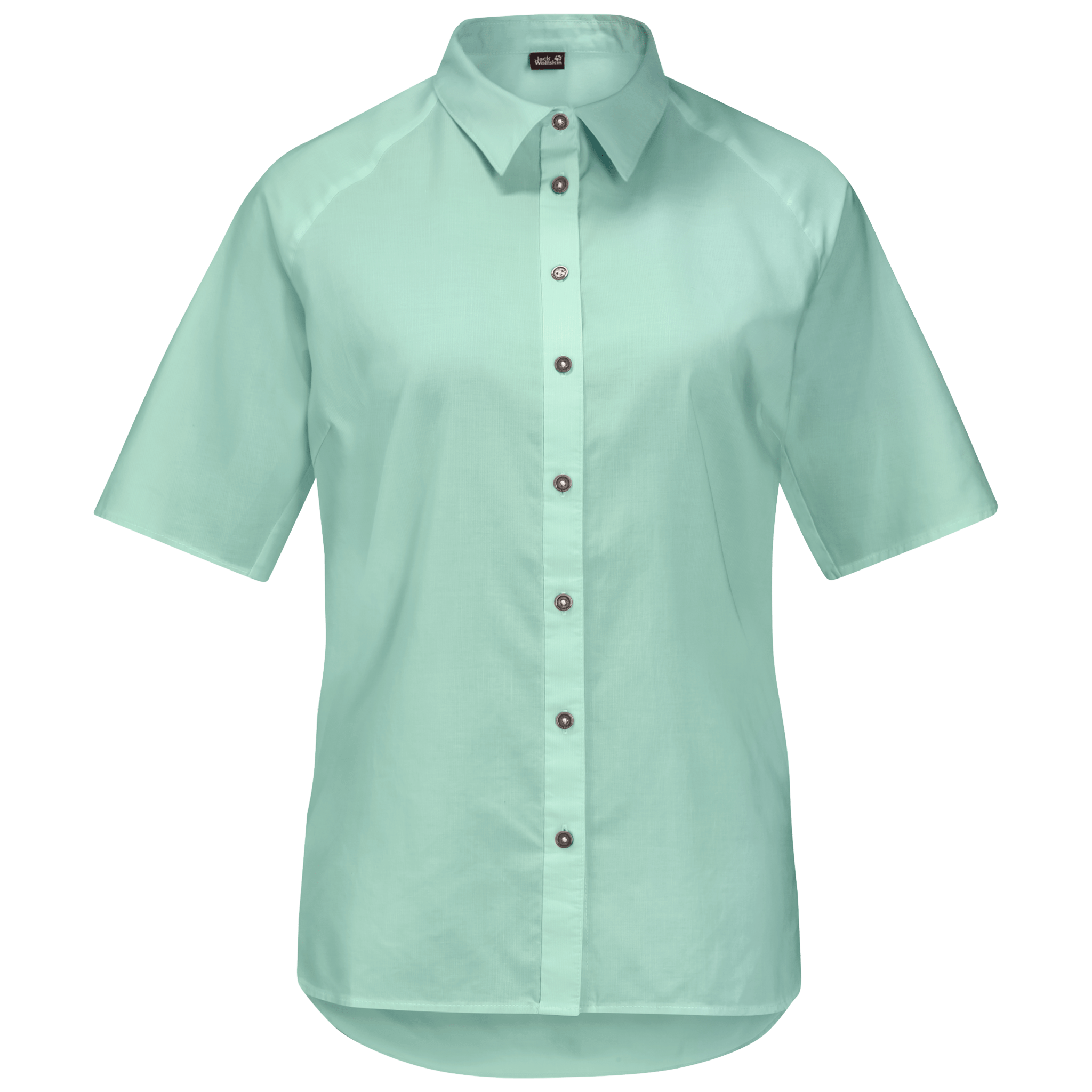 Light Jade Stripes Short-Sleeved Button Up