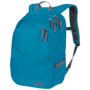 Blue Reef Daypack