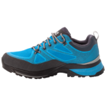 Blue / Lime Hiking Shoes