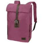 Violet Quartz Daypack