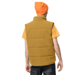 Golden Amber Windproof Insulated Vest Men
