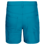 Blue Reef Lightweight Hiking Shorts